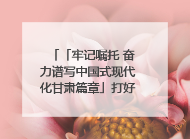 「牢记嘱托 奋力谱写中国式现代化甘肃篇章」打好“三北”工程攻坚战 筑牢国家西部生态安全屏障