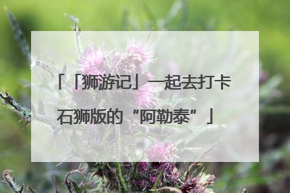 「狮游记」一起去打卡石狮版的“阿勒泰”