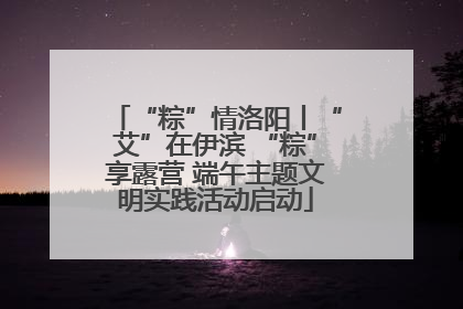 “粽”情洛阳丨“艾”在伊滨 “粽”享露营 端午主题文明实践活动启动