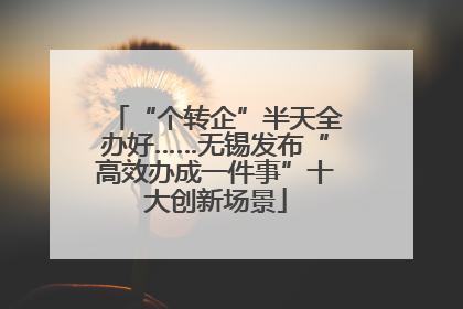 “个转企”半天全办好……无锡发布“高效办成一件事”十大创新场景
