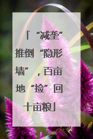 “减垄”推倒“隐形墙”，百亩地“捡”回十亩粮