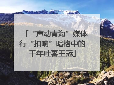 “声动青海”媒体行“扣响”暗格中的千年吐蕃王冠