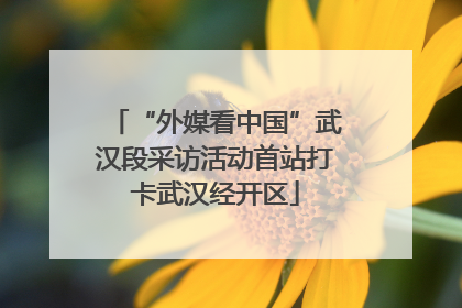“外媒看中国”武汉段采访活动首站打卡武汉经开区