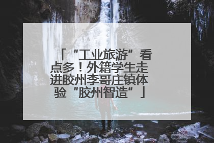 “工业旅游”看点多！外籍学生走进胶州李哥庄镇体验“胶州智造”