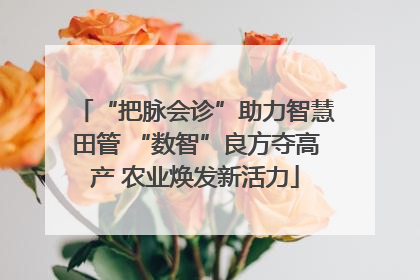“把脉会诊”助力智慧田管 “数智”良方夺高产 农业焕发新活力