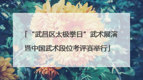 “武昌区太极拳日”武术展演暨中国武术段位考评赛举行
