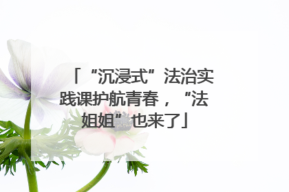 “沉浸式”法治实践课护航青春，“法姐姐”也来了