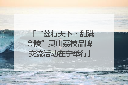 “荔行天下・甜满金陵”灵山荔枝品牌交流活动在宁举行
