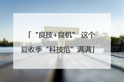 “良技+良机” 这个夏收季“科技范”满满