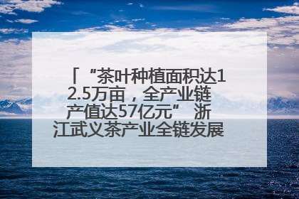 “茶叶种植面积达12.5万亩，全产业链产值达57亿元” 浙江武义茶产业全链发展“加速度”