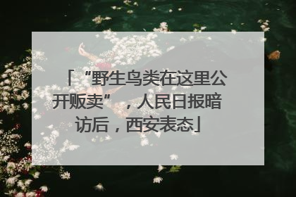 “野生鸟类在这里公开贩卖”，人民日报暗访后，西安表态
