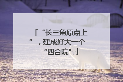 “长三角原点上”，建成好大一个“四合院”