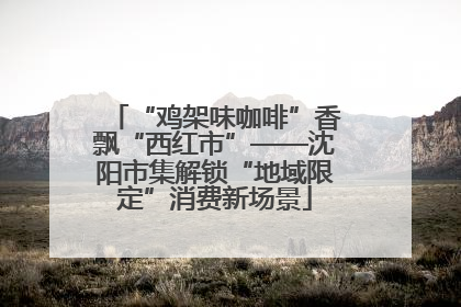 “鸡架味咖啡”香飘“西红市”——沈阳市集解锁“地域限定”消费新场景