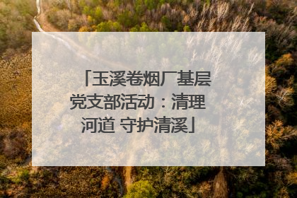 玉溪卷烟厂基层党支部活动：清理河道 守护清溪