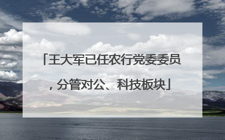 王大军已任农行党委委员，分管对公、科技板块