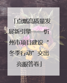 点燃高质量发展新引擎——忻州市项目建设“冬季行动”交出亮眼答卷