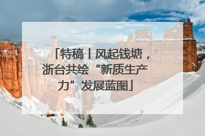 特稿丨风起钱塘，浙台共绘“新质生产力”发展蓝图