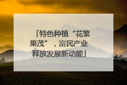 特色种植“花繁果茂”，富民产业释放发展新动能