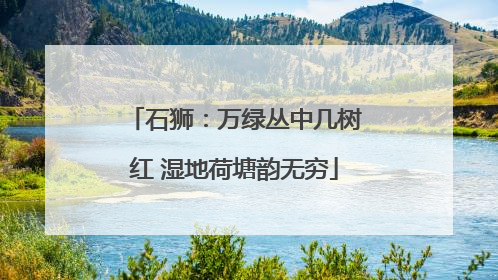 石狮：万绿丛中几树红 湿地荷塘韵无穷