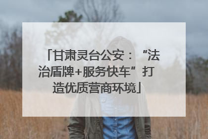 甘肃灵台公安：“法治盾牌+服务快车”打造优质营商环境