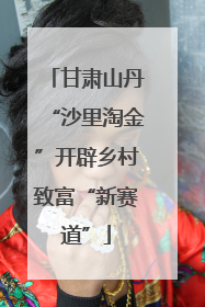 甘肃山丹“沙里淘金”开辟乡村致富“新赛道”