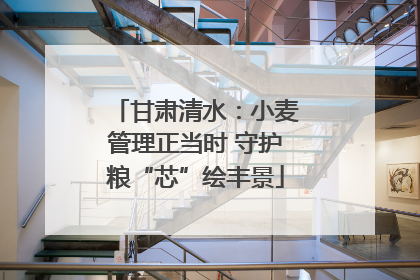 甘肃清水：小麦管理正当时 守护粮“芯”绘丰景
