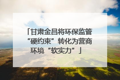 甘肃金昌将环保监管“硬约束”转化为营商环境“软实力”