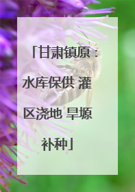 甘肃镇原：水库保供 灌区浇地 旱塬补种