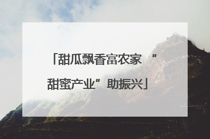 甜瓜飘香富农家 “甜蜜产业”助振兴