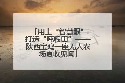用上“智慧眼” 打造“吨粮田”——陕西宝鸡一座无人农场夏收见闻