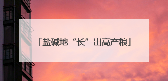 盐碱地“长”出高产粮