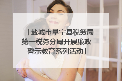 盐城市阜宁县税务局第一税务分局开展廉政警示教育系列活动