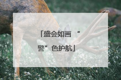 盛会如画 “警”色护航