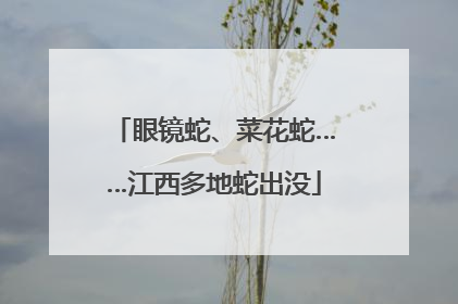 眼镜蛇、菜花蛇……江西多地蛇出没