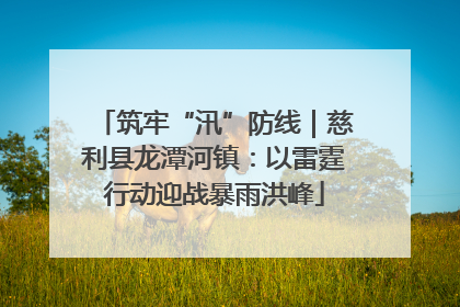 筑牢“汛”防线｜慈利县龙潭河镇：以雷霆行动迎战暴雨洪峰
