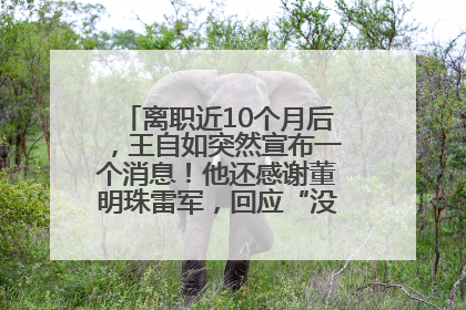 离职近10个月后，王自如突然宣布一个消息！他还感谢董明珠雷军，回应“没看过格力工资条”：真的不那么重要！