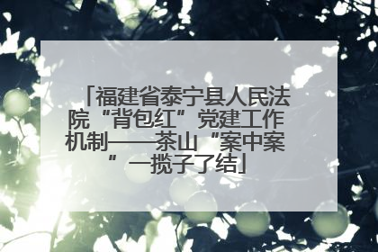 福建省泰宁县人民法院“背包红”党建工作机制——茶山“案中案”一揽子了结
