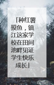 种红薯摸鱼，镇江这家学校在田间池畔见证学生快乐成长