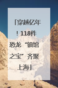 穿越亿年！118件恐龙“镇馆之宝”齐聚上海