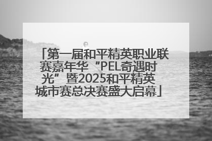 第一届和平精英职业联赛嘉年华“PEL奇遇时光”暨2025和平精英城市赛总决赛盛大启幕
