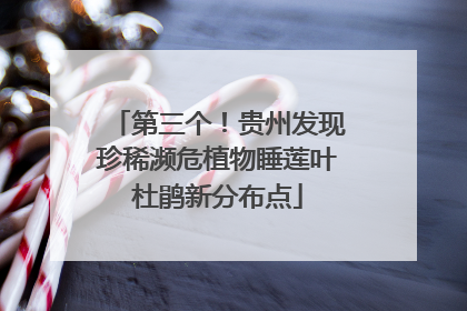 第三个！贵州发现珍稀濒危植物睡莲叶杜鹃新分布点