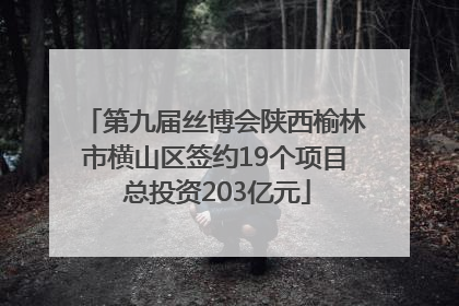 第九届丝博会陕西榆林市横山区签约19个项目 总投资203亿元