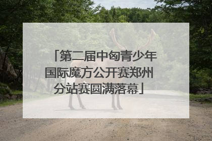第二届中匈青少年国际魔方公开赛郑州分站赛圆满落幕