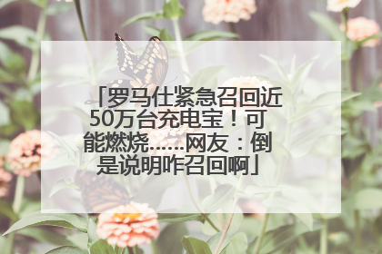 罗马仕紧急召回近50万台充电宝！可能燃烧……网友：倒是说明咋召回啊