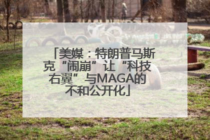 美媒：特朗普马斯克“闹崩”让“科技右翼”与MAGA的不和公开化