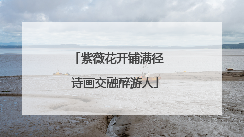 紫薇花开铺满径 诗画交融醉游人