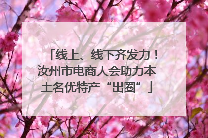 线上、线下齐发力！汝州市电商大会助力本土名优特产“出圈”