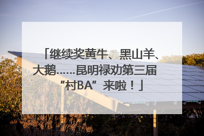 继续奖黄牛、黑山羊、大鹅……昆明禄劝第三届“村BA”来啦！