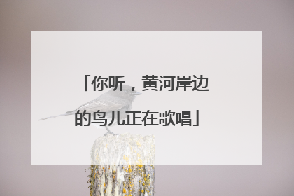 你听，黄河岸边的鸟儿正在歌唱