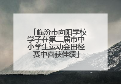 临汾市向阳学校学子在第二届市中小学生运动会田径赛中喜获佳绩